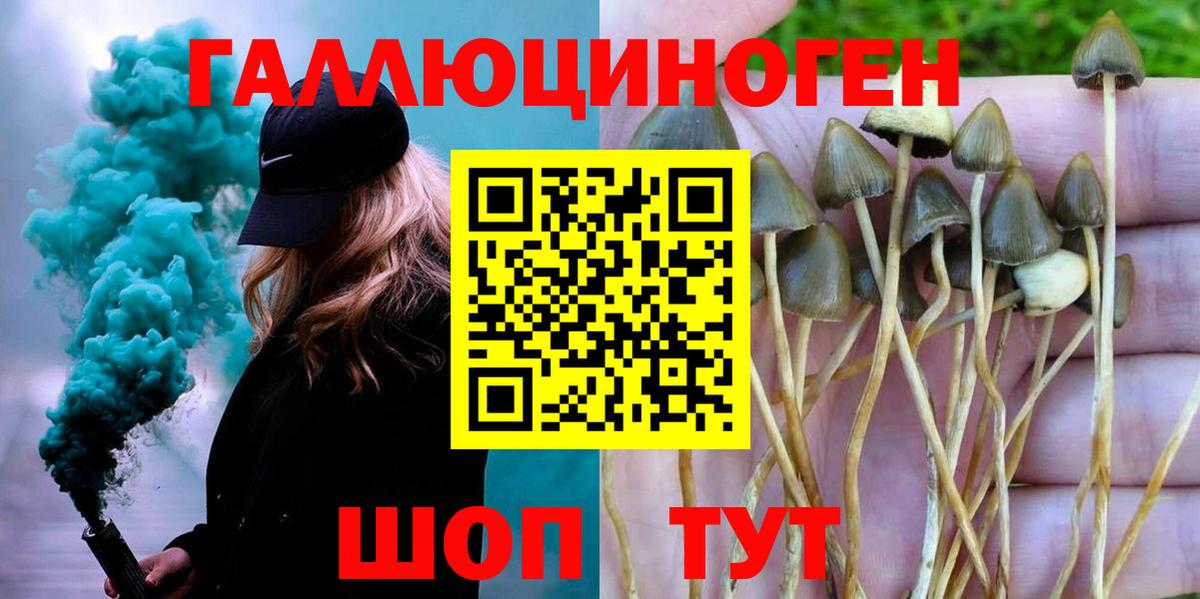 Галлюциногенные грибы Magic Shrooms  Вход с VPN  Изобильный  Псилоцибиновые грибы Psilocybe 